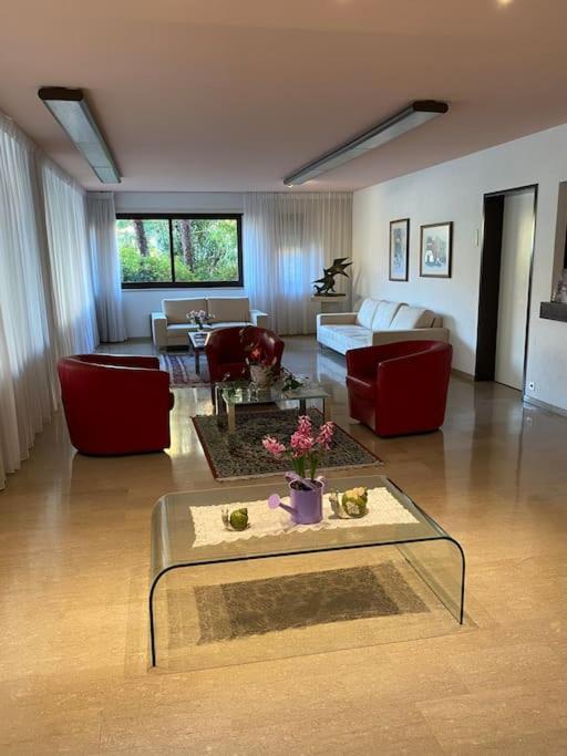 Ascona: Residenza Sabrina,App 2.5 Locali E Piscina公寓 外观 照片